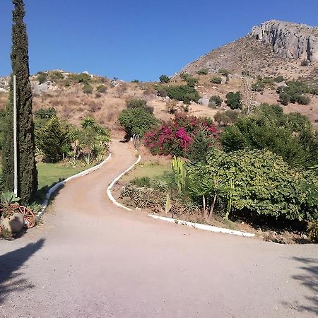 Finca Santa Matilde Малага Экстерьер фото