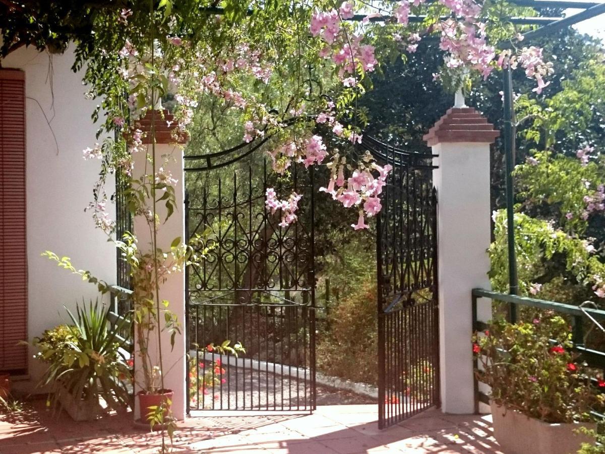 Finca Santa Matilde Малага Экстерьер фото