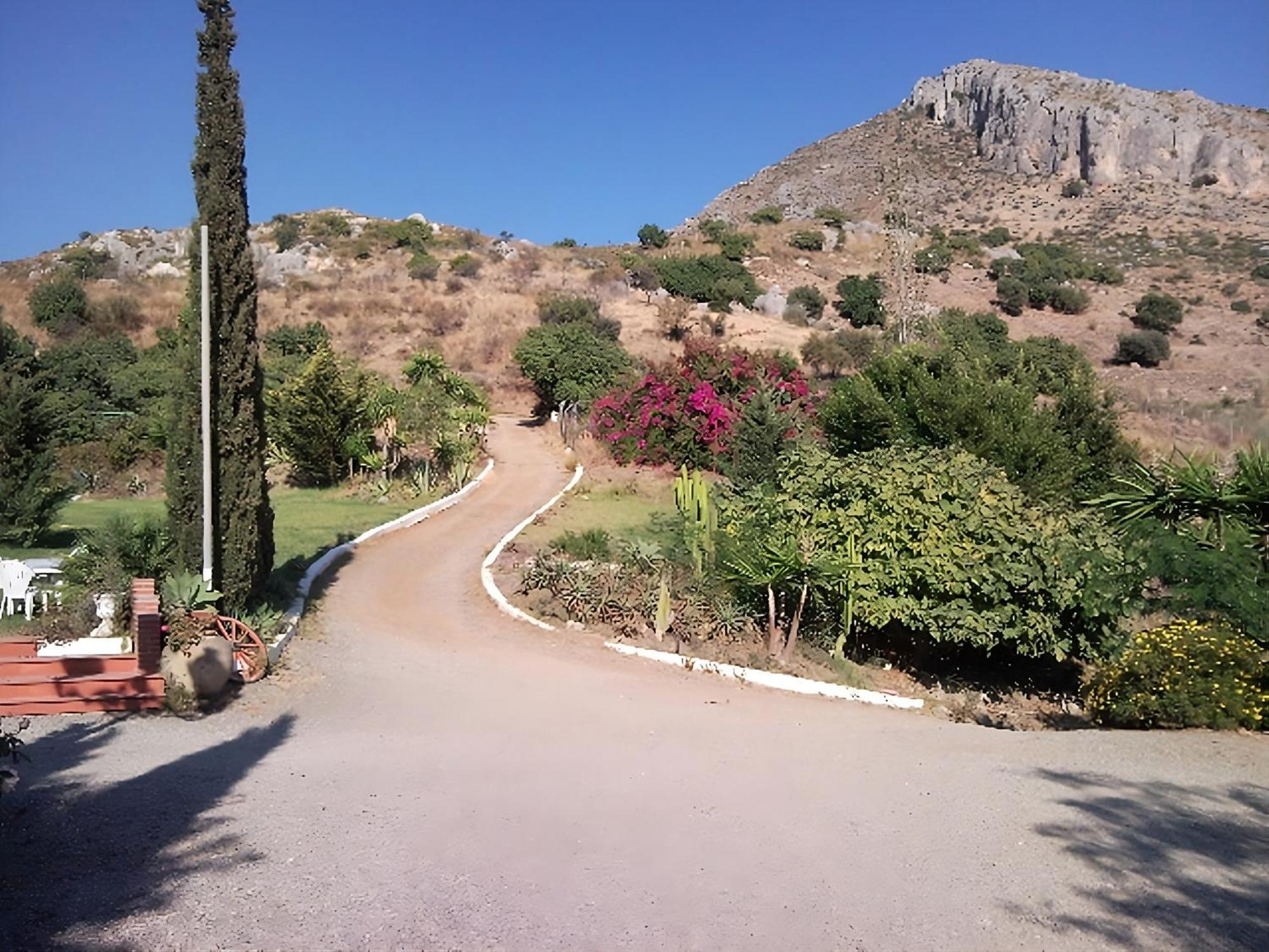 Finca Santa Matilde Малага Экстерьер фото